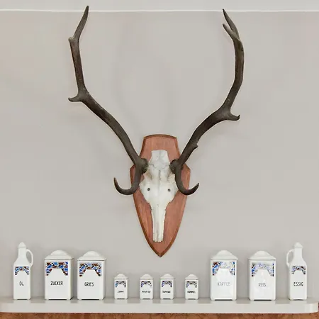 Penzion Junior By Max 70